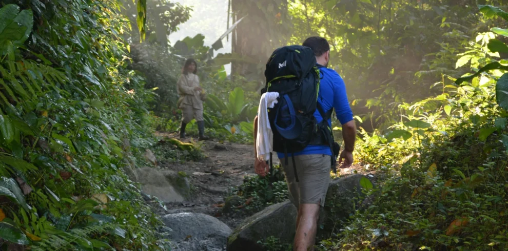 pexels-andrew-picks-trilha